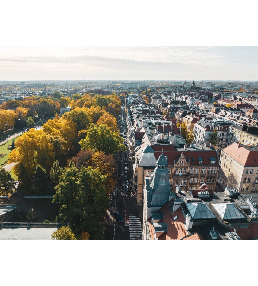 artystyczna poznan